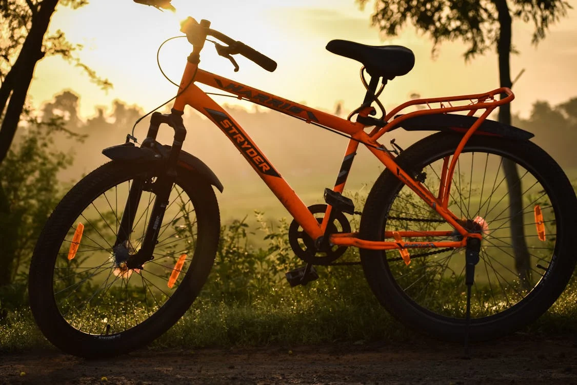 Історія походження двоколісного транспорту